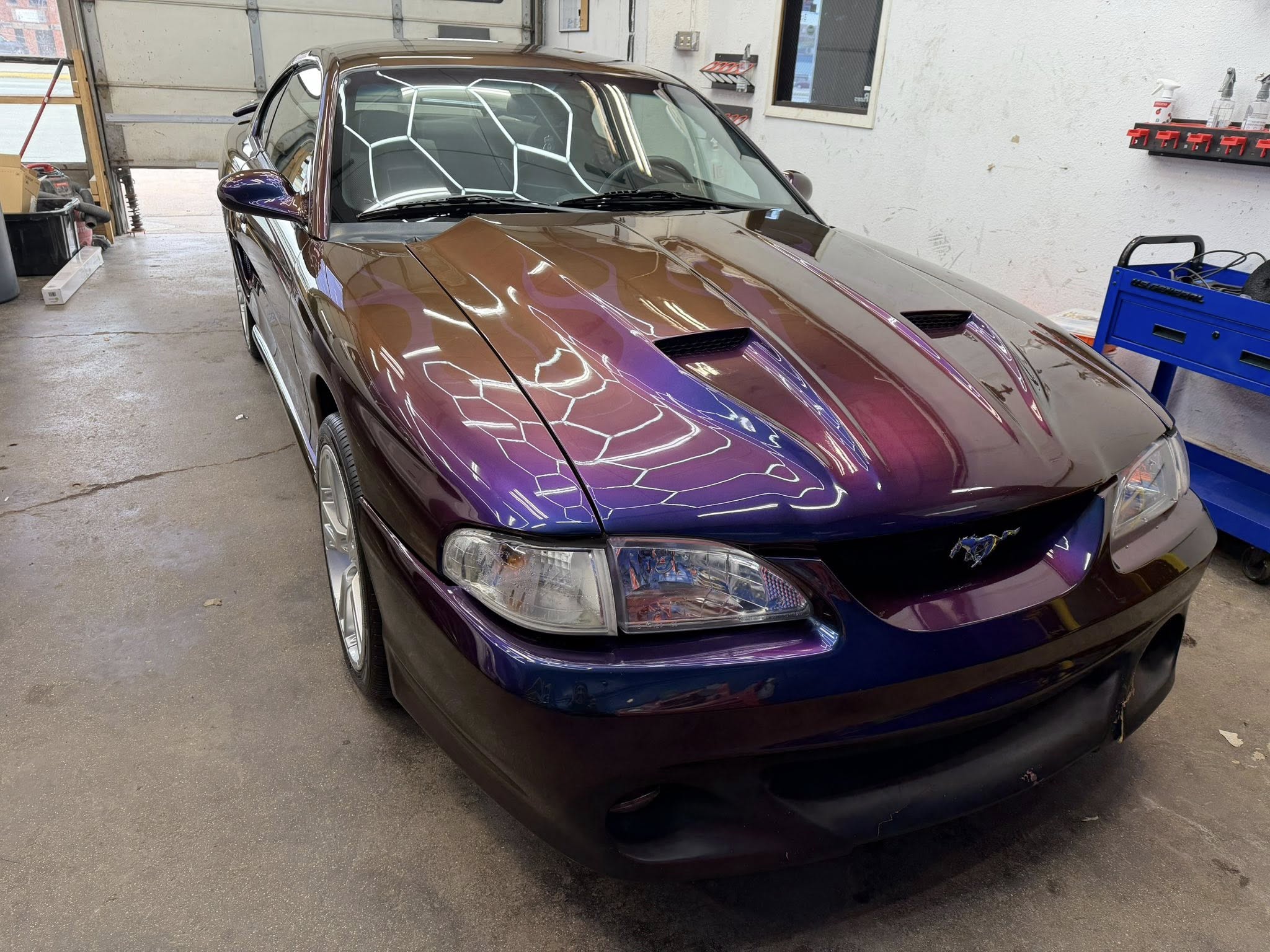 Color-shifting Mustang displaying a high-gloss coated finish